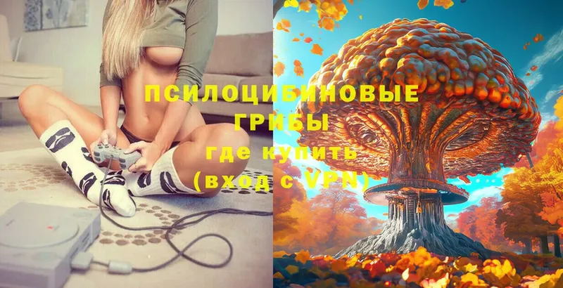 Псилоцибиновые грибы Psilocybe  kraken как зайти  Кимовск 